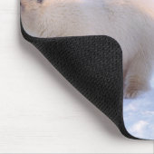 Eisbärensäte mit Naben auf Packeis an der Küste Mousepad (Ecke)
