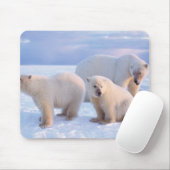 Eisbärensäte mit Naben auf Packeis an der Küste Mousepad (Mit Mouse)