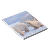 Eisbärensäte mit Naben auf Packeis an der Küste Notizblock (angewinkelt)