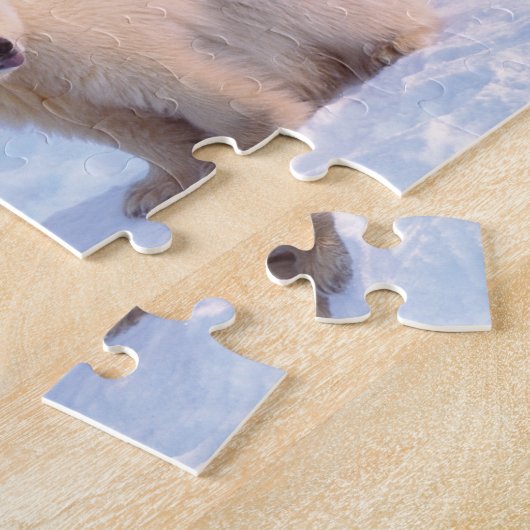 Eisbärensäte mit Naben auf Packeis an der Küste Puzzle (Seite)