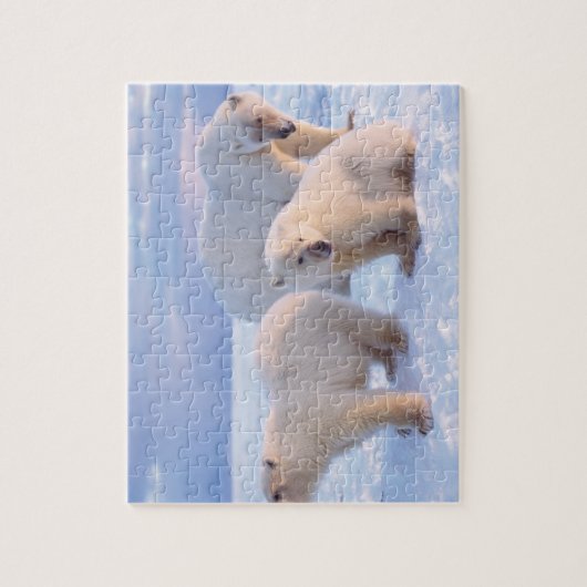 Eisbärensäte mit Naben auf Packeis an der Küste Puzzle (Vertikal)