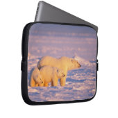 Eisbärensau mit Frühlingsjungen auf dem gefrorenen Laptopschutzhülle (Vorne Rechts)