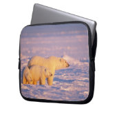 Eisbärensau mit Frühlingsjungen auf dem gefrorenen Laptopschutzhülle (Vorderseite Links)