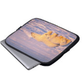 Eisbärensau mit Frühlingsjungen auf dem gefrorenen Laptopschutzhülle (Vorne Knopf)