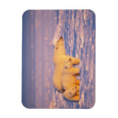 Eisbärensau mit Frühlingsjungen auf dem gefrorenen Magnet (Vertikal)