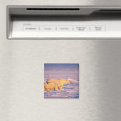 Eisbärensau mit Frühlingsjungen auf dem gefrorenen Magnet (In Situ (Geschirrspüler))