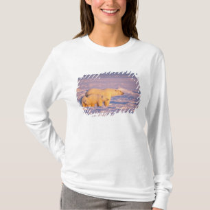 Eisbärensau mit Frühlingsjungen auf dem gefrorenen T-Shirt