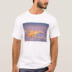 Eisbärensau mit Frühlingsjungen auf dem gefrorenen T-Shirt