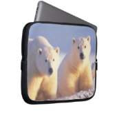 Eisbärensau mit Keule auf Packeis Laptopschutzhülle (Vorne Rechts)