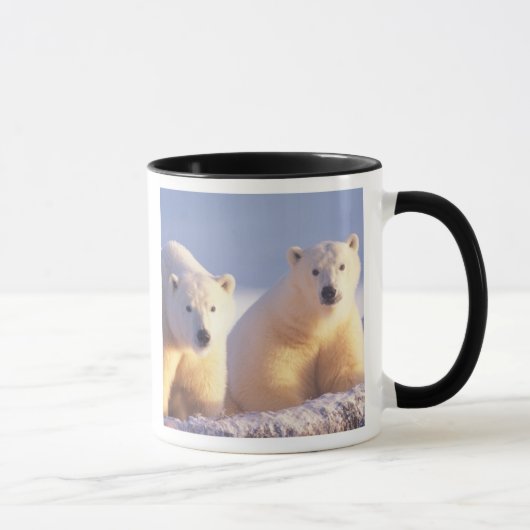 Eisbärensau mit Keule auf Packeis Tasse (Rechts)