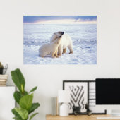 Eisbärensau mit Krug, Packeis der Poster (Heimbüro)