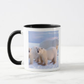 Eisbärensau mit Naben auf Packeis, Küste Tasse (Links)
