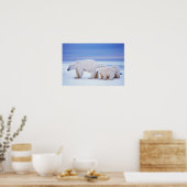 Eisbärensau mit Naben auf Packeis Poster (Küche)