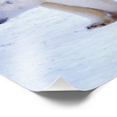 Eisbärensau mit Naben Fotodruck (Ecke)