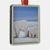 Eisbärensau mit Naben Ornament Aus Metall (Rechts)