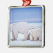 Eisbärensau mit Naben Ornament Aus Metall (Links)