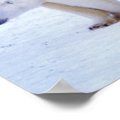 Eisbärensau mit Naben Poster (Ecke)