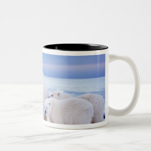 Eisbärensau mit Naben Zweifarbige Tasse (Rechts)