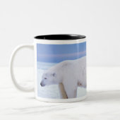 Eisbärensau mit Naben Zweifarbige Tasse (Links)