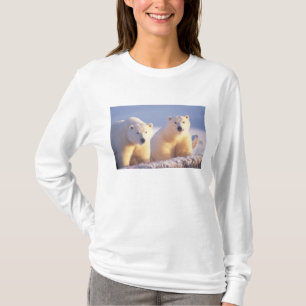 Eisbärin mit Jungtier auf Packeis T-Shirt