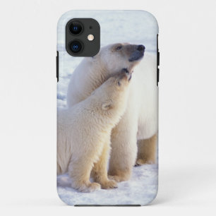 Eisbärin mit Jungtier, Packeis Case-Mate iPhone Hülle