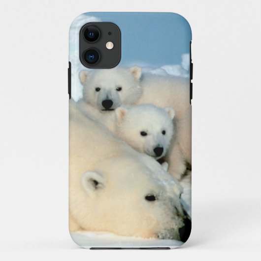 Eisbärjunges 1 Case-Mate iPhone hülle (Rückseite)
