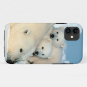 Eisbärjunges 1 Case-Mate iPhone hülle (Rückseite (Horizontal))