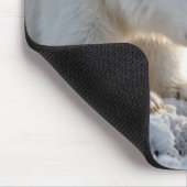 Eisbärjunges bewundert ein Gänseblümchen Mousepad (Ecke)
