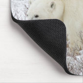 Eisbärweibchen mit zwei Jungen Mousepad (Ecke)
