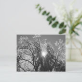 Eisbaum Postkarte (Stehend Vorderseite)