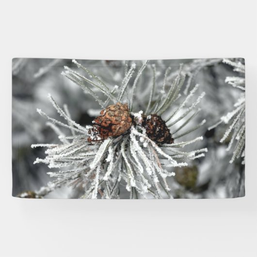 Eisbedeckte Kiefernzäune im Winter Banner (Horizontal)