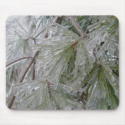 Eisbedeckte Pine Bough Mousepad (Vorne)