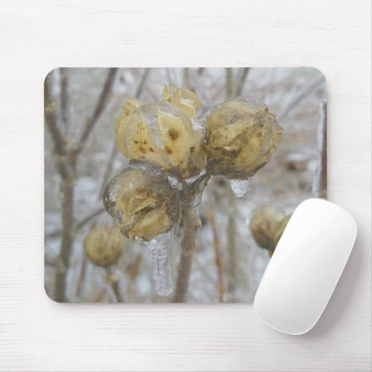 Eisbedeckte Samenköpfe Mousepad (Mit Mouse)