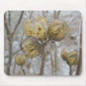 Eisbedeckte Samenköpfe Mousepad (Vorne)