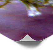Eisbedeckter Kiefer Poster (Ecke)