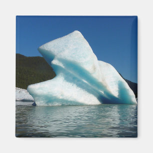 Eisberg auf dem Mendenhall-See in Alaska Magnet