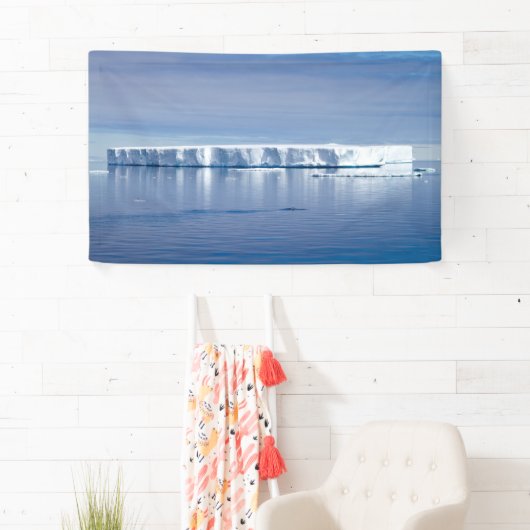 Eisberg Banner (Insitu)