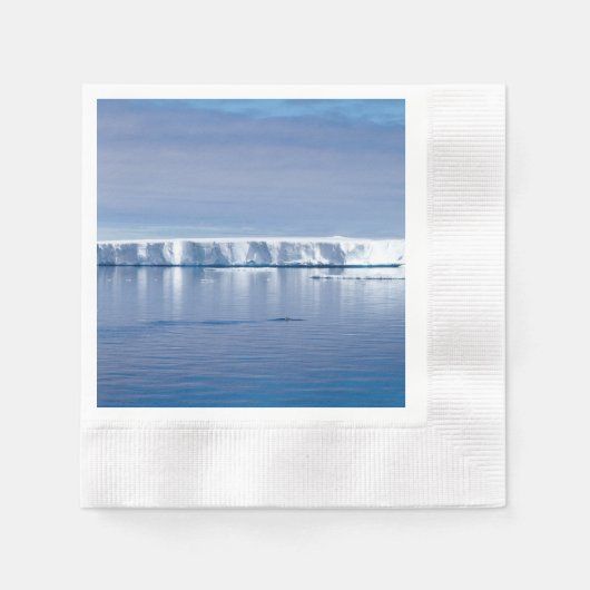 Eisberg Serviette (Vorderseite)