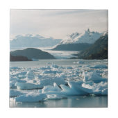 Eisberge Fliese (Vorderseite)