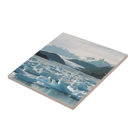 Eisberge Fliese (Seite)