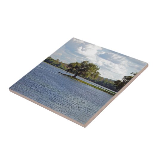 Eisberge Fliese (Seite)