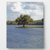 Eisberge Fotoplatte (Vorderseite)