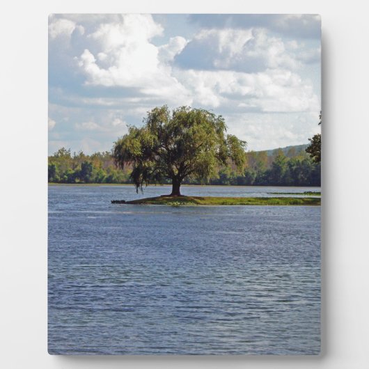 Eisberge Fotoplatte (Vorderseite)