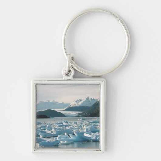 Eisberge Schlüsselanhänger (Vorne)
