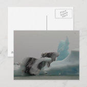 Eisbergformationen Postkarte (Vorne/Hinten)