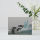 Eisbergformationen Postkarte (Stehend Vorderseite)