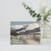 Eisbergformationen Postkarte (Stehend Vorderseite)