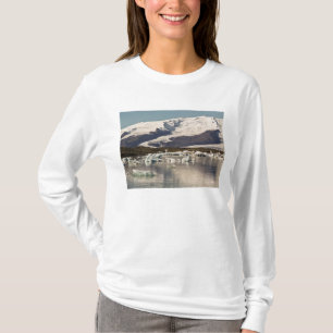 Eisbergformationen T-Shirt