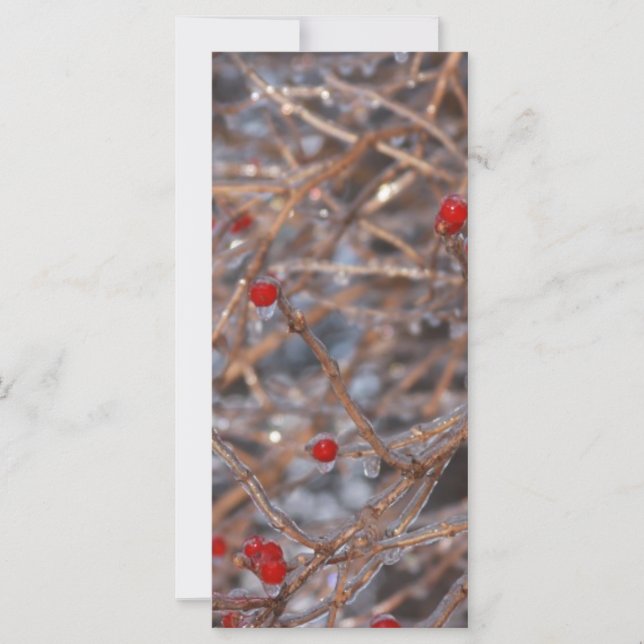 Eisberries (Vorderseite)