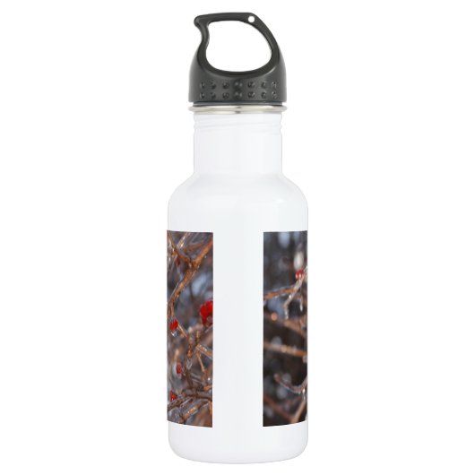 Eisberries Edelstahlflasche (Rückseite)